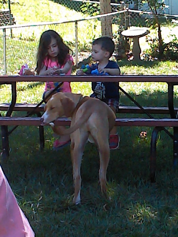 Maddie and Caleb with Copper the Dog